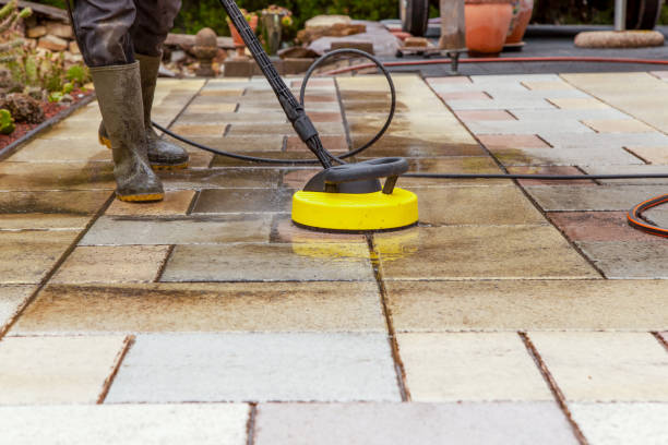 Best Dumpster Area Cleaning  in Greenwood Village, CO